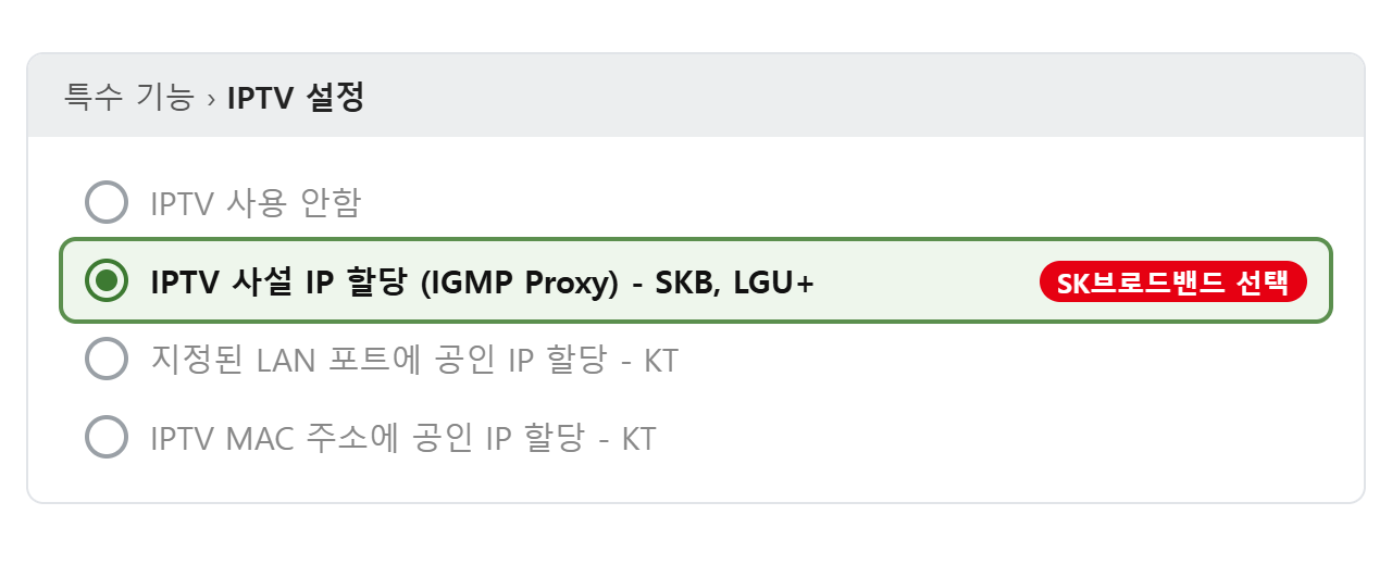 IPTV 설정 화면 예시: IPTV 사설 IP 할당 (IGMP Proxy) - SKB, LGU+ 선택